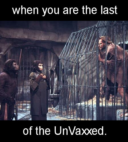 unvaxxed52