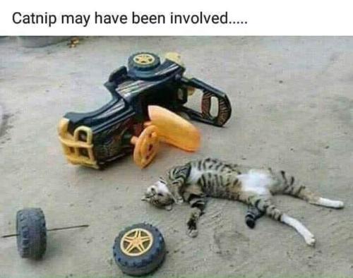 FB_IMG_1660900054021