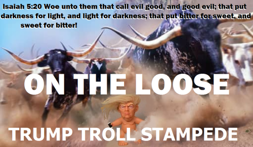 295852016_644338263236353_3105375607418498799_n - Copy