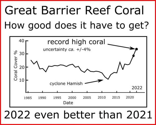297046126_528149929109554_4670688203377997499_n