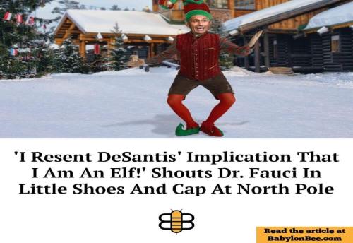 Ideal Elf on a shelf fauci