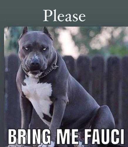 FB_IMG_1661212112025