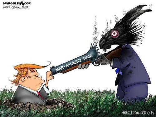 299376317_573141071259902_315933558735841504_n