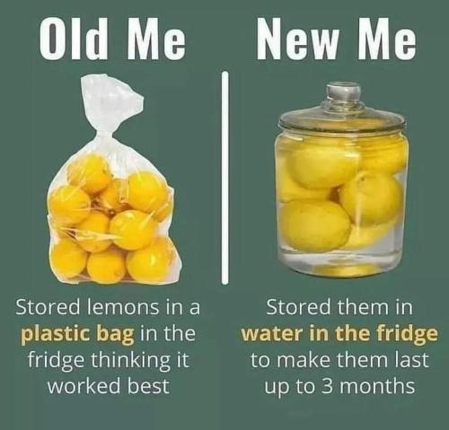 300076224_5284671271628073_1677449959725043567_n