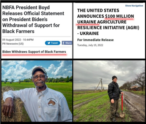 captures_chrome-capture-2022-7-12 (2)