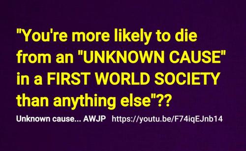 Screenshot_2022-08-22-15-10-47-865_cn.wps.moffice_eng~2