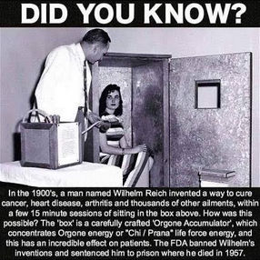 wilhelm reich00