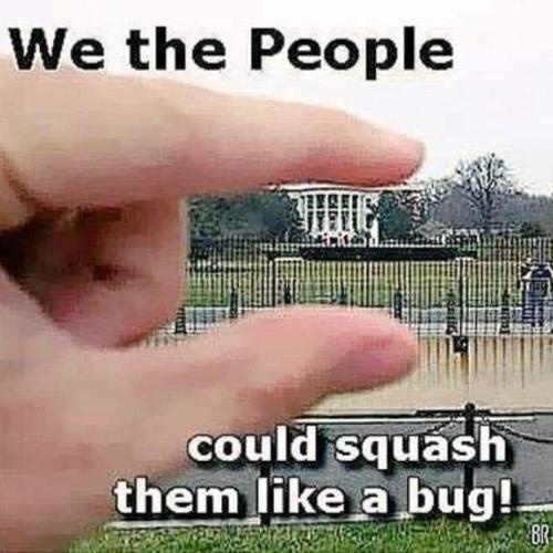 IMG_20220813_224031_208