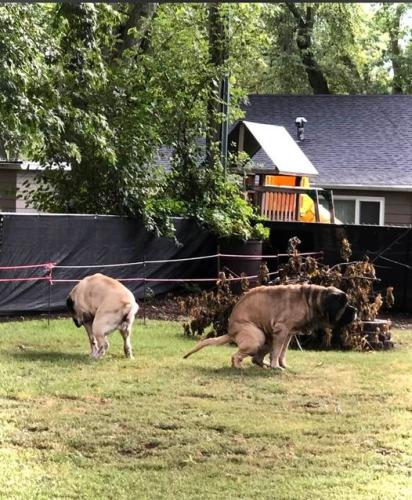 301145106_2932366043729759_7648537538728593188_n