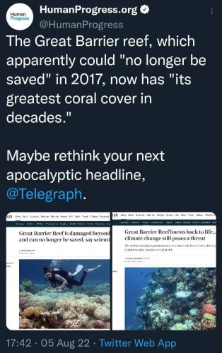 FB_IMG_1659885612222