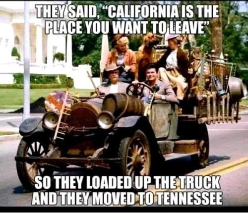 tumblr_ff4dd604697e709afa90aa49a4ddf505_3416f013_640