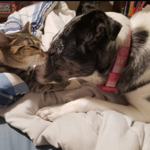 Screenshot_20220725-013023