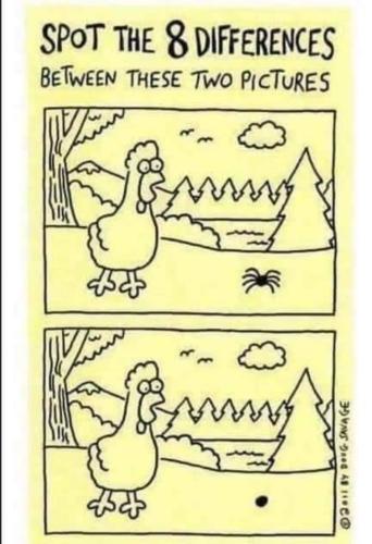 FB_IMG_1659764555205