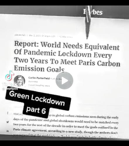 Screenshot_2022-08-09-10-34-18-723_com.google.android.apps.photos~2