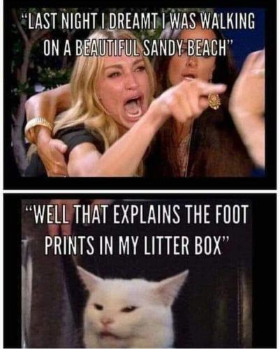 FB_IMG_1661972947005
