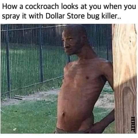 FB_IMG_1661960132185