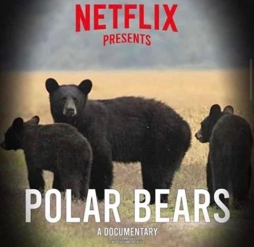 299313322_573265957839057_7504405205157165207_n