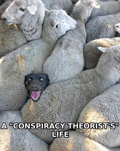 img - 2022-08-07T180727.345