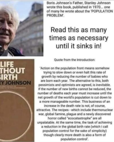 Screenshot_20220804-200654_Photos