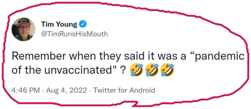 snapshot_mobile.twitter.com_1659710983143