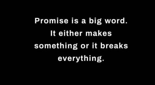 1C-Promise