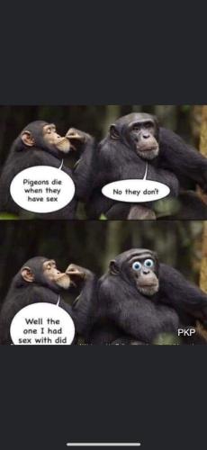 FB_IMG_1661358307441