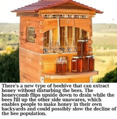 299716297_5270225729739294_6466657882361619724_n