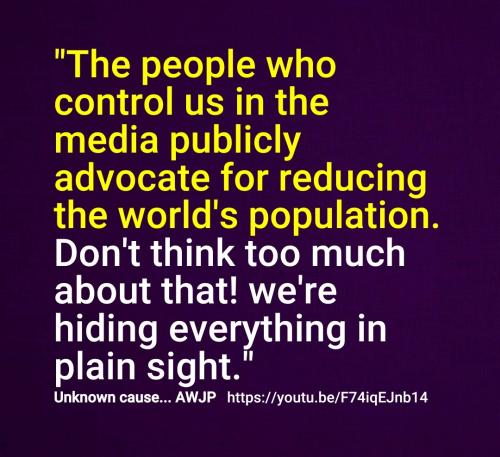 Screenshot_2022-08-22-15-38-51-954_cn.wps.moffice_eng~2