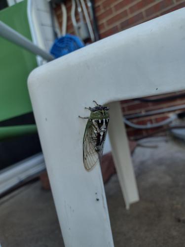 IMG_20220811_074703822_HDR