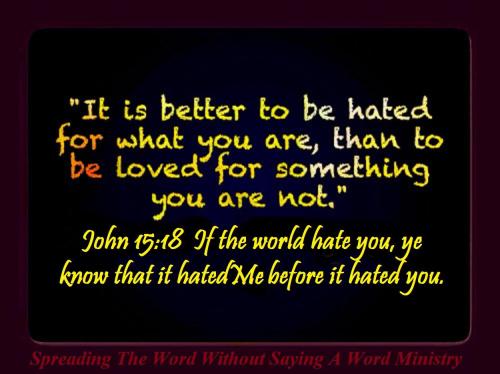 12240231_951860804896051_1696046690096810439_o