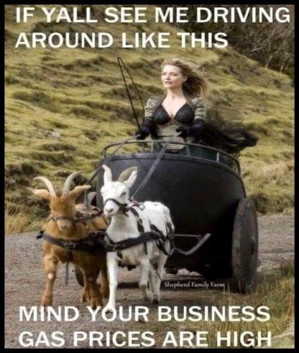 tumblr_6225bc286bf74e0e161855804aa7a56f_18608df0_540