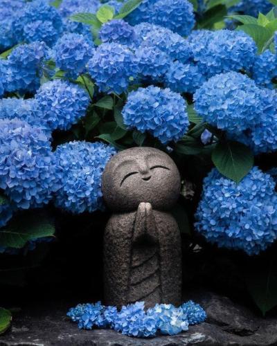 300623927_615869363242403_961865306399479961_n