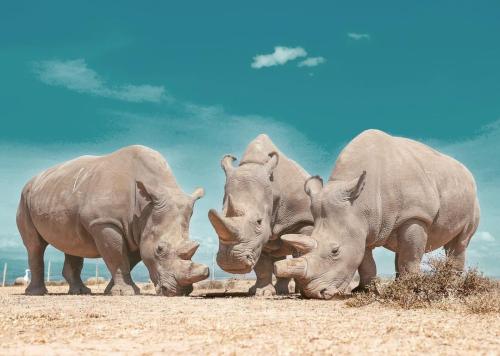 tumblr_f7734ec760ff7dd95dcc50ad5e7ffa0f_e01786ba_1280