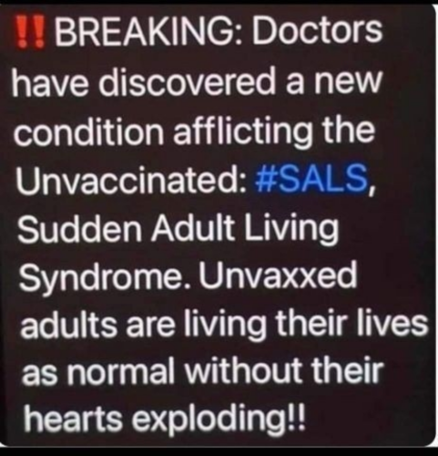 S A L S