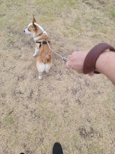 Resized_20220727_075141