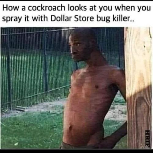 FB_IMG_1660754857550
