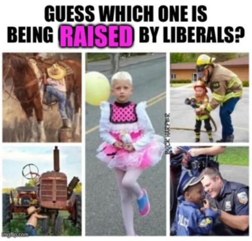 tumblr_0bd199a73ccac77a2f9a29aa1bd2ff92_5f896653_640