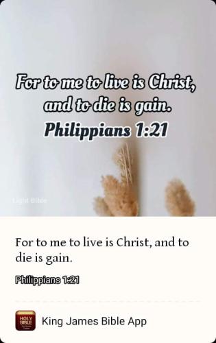 FB_IMG_1661644183999