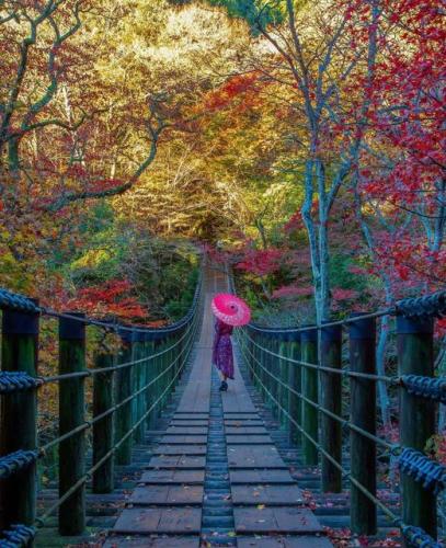 300510597_592181222536353_5613376230543503954_n