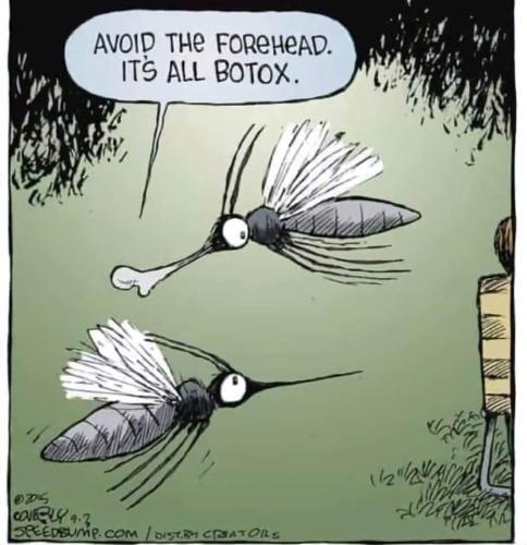 FB_IMG_1660121835494