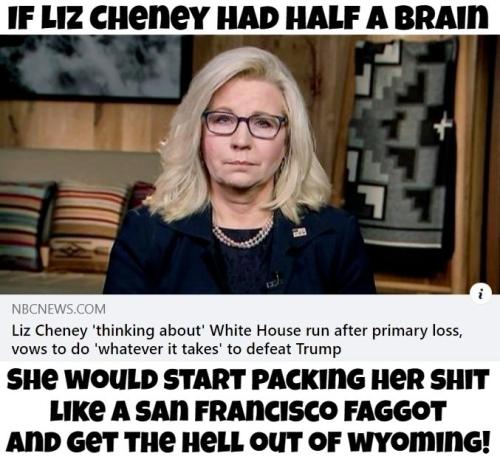 If Liz Cheney had half a brain