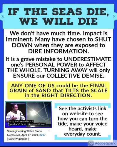 Screenshot_2022-08-09-10-43-33-727_com.google.android.apps.photos~2