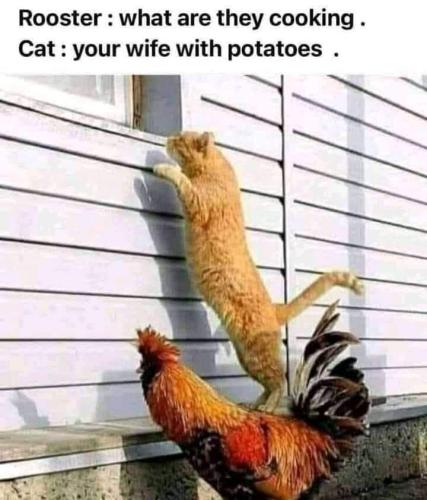 FB_IMG_1660767268797