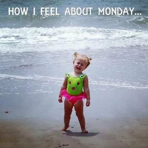 FB_IMG_1660561006133