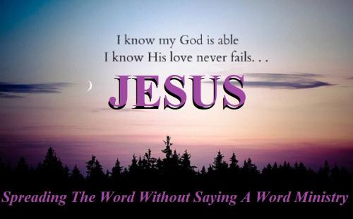 12247731_951859471562851_1780966803456916122_o