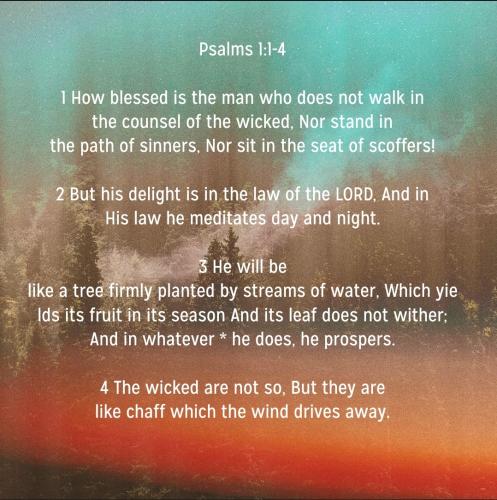 Screenshot_20220810-075748_Bible