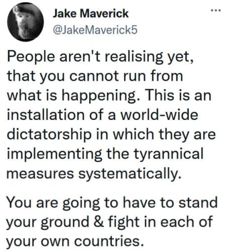 tumblr_7086b331e158f4837e551eb84436ee4a_30cf1d9d_540