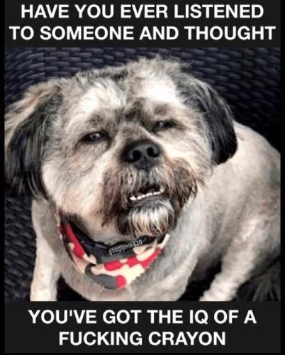 d0b393b9a28c5dde7974e2637dd6a7c6