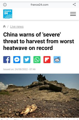 Screenshot_2022-08-29-13-25-56-780_com.android.chrome~2