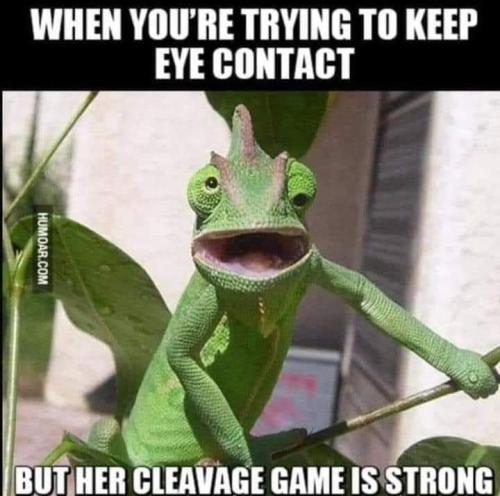 FB_IMG_1660979215283